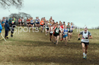 Senior men, 2018 Northern Cross Country Champs., Harewood House, Leeds. Photo: David T. Hewitson/Sports for All Pics